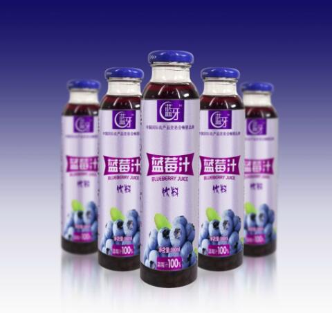 蓝莓果汁饮料生产线
